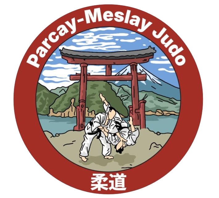 Logo AVIONNETTE PARCAY-MESLAY