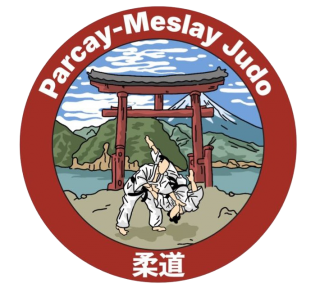 AVIONNETTE PARCAY-MESLAY